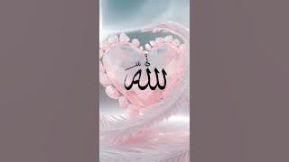 Salaah#egzonibrahimi #egzon #ytshortsindia #cat #cute#duroodibrahimi#shifa#salaah#muhammadﷺ