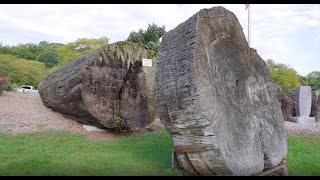 A California Redwood with Illinois Roots | Diggin' Into History by Caterpillar Inc. 2,847 views 6 months ago 5 minutes, 38 seconds