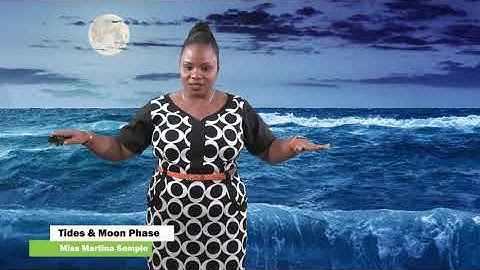 Science - Grade 5: Relationship Between Tides & Moon Phases