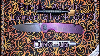 Purple Lemon Shark Knife Tune - up and lube