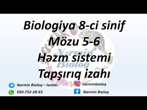 Biologiya 8-ci sinif Həzm sistemi Mözu 5-6 Tapşırıq izahı