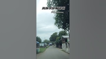 Jalan Raya Desa Majasih #sliyeg #indramayu #jawabarat #jelajah #jalan #beranda #shorts