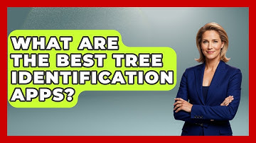 What Are The Best Tree Identification Apps? - Exploring Campgrounds