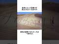 砂丘の落書きで特定された大学生 #雑学