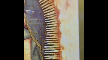 gold picture frame custom framing by Modernmemorydesign.com NJ Frame Shop