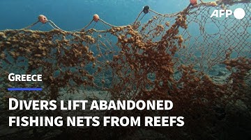 Divers haul abandoned 