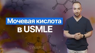 Мочевая кислота в USMLE | Подагра и не только