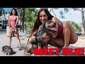 BAKHAR NABIEVA'S NEW DOG | MEET BLU | WHY I LOVE ANIMALS