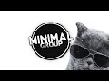 TRIPPY  MINIMAL HOUSE & TECHNO MIX || 2020 JANUARY