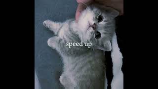 :  (speed up) 