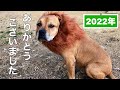 最後の動画です　有難うございました！