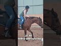 PART2 #horse #fail #horsesfails