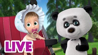 картинка: 🔴 LIVE 📺 Маша мен Аю 🎉☀️ Оқиғаға толы жексенбі 📚🌞 Masha and the Bear