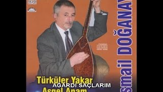 İSMAİL DOĞANAY - AĞARDI ŞAÇLARIM Resimi