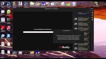 Osbuddy screen fucked