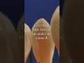 OneRepublic - Counting Stars | Lyrics