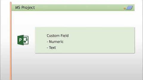 MS Project Custom Field