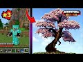 I build ultra pro max cherry  blossom tree 🌲 in Minecraft | 1.21 in hindi part 1