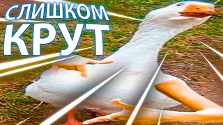 Попробуй Не Засмеяться, 999% Проиграют / 552 Секунды Смеха | Упоротые Приколы / Смешные Видео 2023