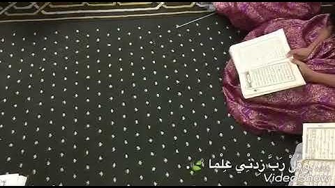 ختام الدورة الصيفية للإناث للقرآن الكريم لمسجد الصحابة لسنة 1439هجرية