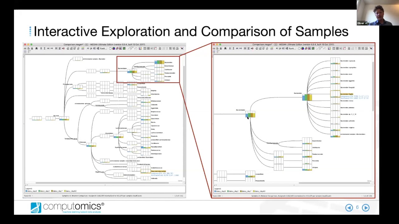 Interactive and Reproducible Metagenomics Data Analysis with MEGAN6 UE and MORPHEUS