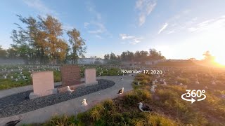 Returning Albatross in 360° time lapse on Midway Atoll