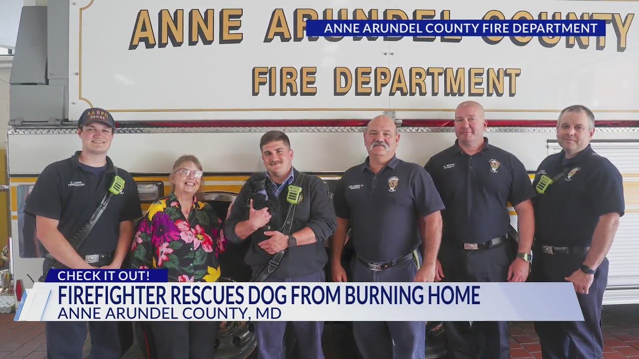 Firefighter rescues small dog from burning home in Anne Arundel County ...