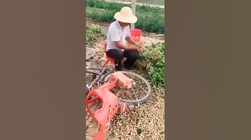 Smart Farmer Threshing Peanuts With This Tool 😎#satisfying #short