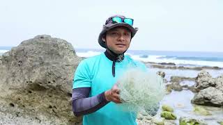 外交部國慶影片出爐　向全球分享Team Taiwan榮耀