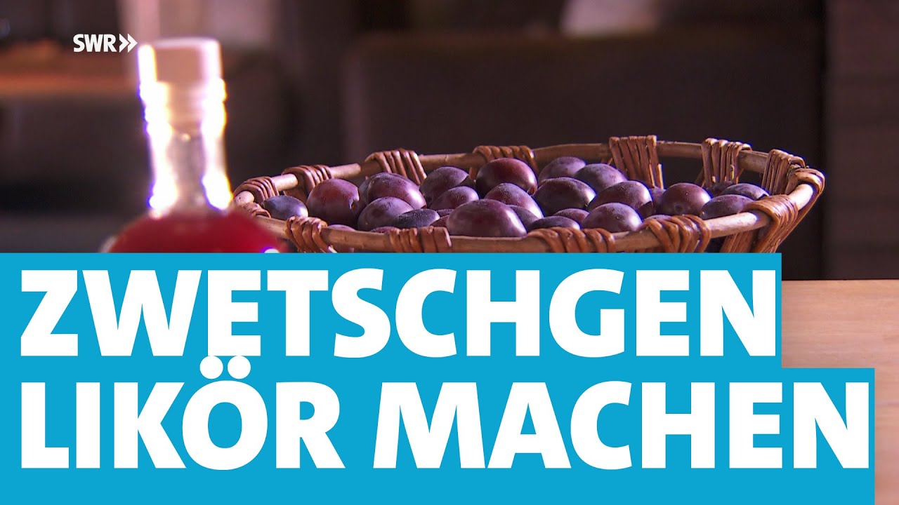 So wird Zwetschgenlikör selbst gemacht