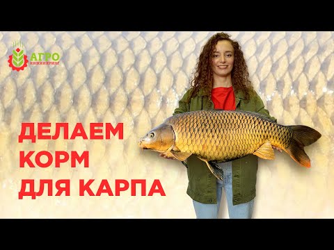 Особенности производства корма для карпа. Какое сырье можно использовать.