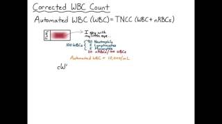 Corrected WBC Count HD