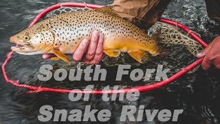Fly Fishing South Fork of the Snake River