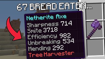 Minecraft, But You Enchant Every Time You Eat...