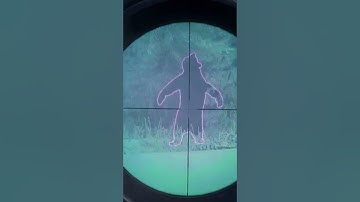 I accidentally shot a MELANISTIC BEAR 🐻🔫 | theHunter: Call of the Wild