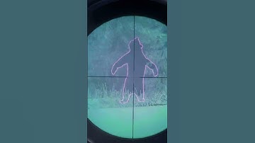 I accidentally shot a MELANISTIC BEAR 🐻🔫 | theHunter: Call of the Wild