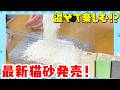 【限定クーポン配布中！！】ニオイ・飛び散りのお悩み解決！猫ちゃんにぴったりの猫砂の選び方