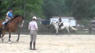 Amy Barrington Clinic day 1-flatwork