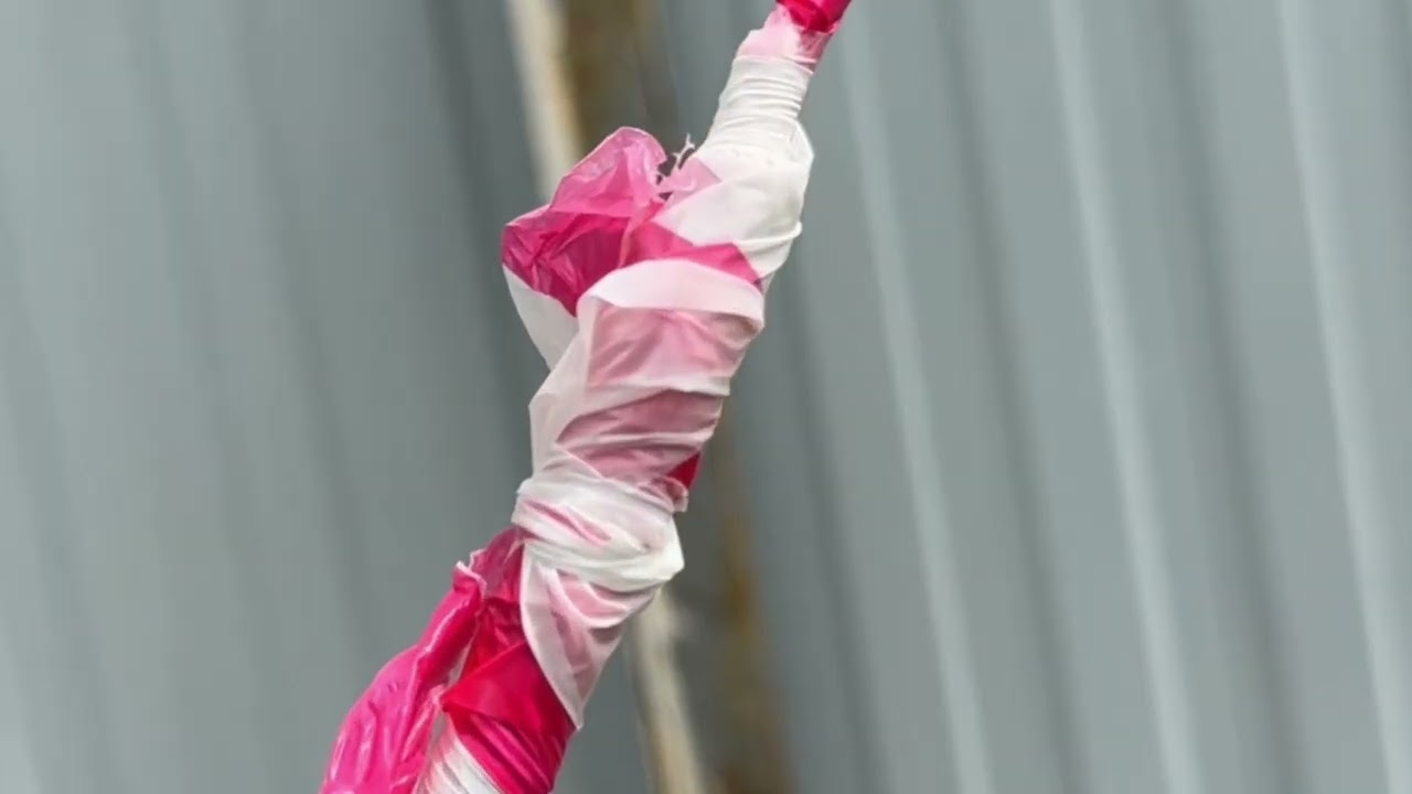 Прививка плодовых деревьев на сливу