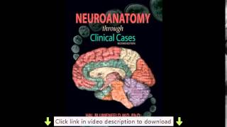 Download Neuroanatomy Through Clinical Cases Second Edition Text with Interactive eBook Blu eBook