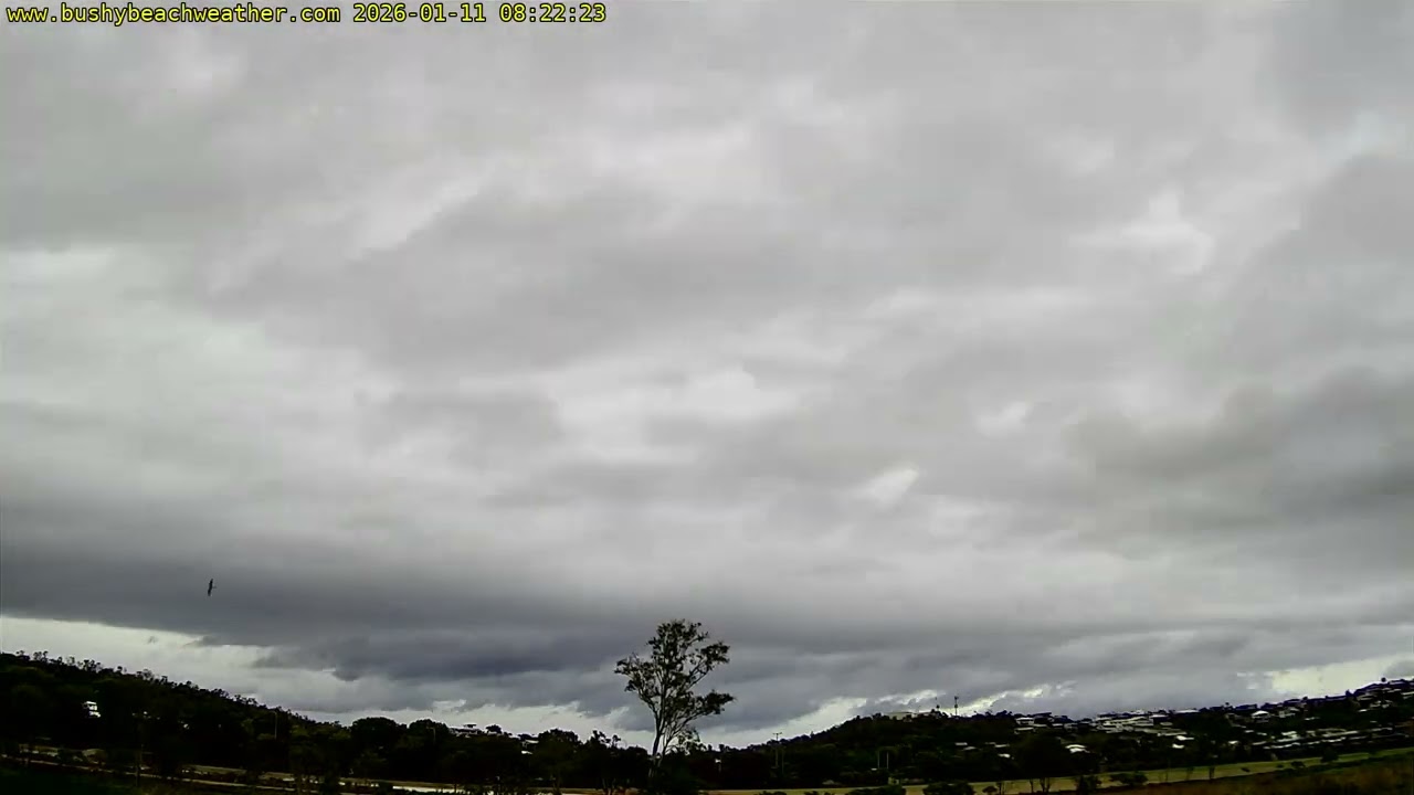 2026-01-11  - Bushland Beach Weather Camera Daily Time-lapse.