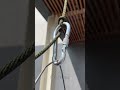 Carabiner Hauling Knot | #Shorts #ClimbingSkills #OutdoorHacks