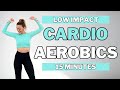 🔥15 Min CARDIO AEROBICS for WEIGHT LOSS🔥FUN SWEATY HOME WORKOUT🔥KNEE FRIENDLY🔥NO JUMPING🔥NO REPEATS🔥