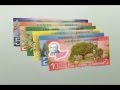 Conozca la nueva familia de billetes de Costa Rica