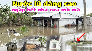 Nước lũ dâng cao ở Miền Tây nước ngập nhà cửa mồ mã thật tội nghiệp [ 31 tháng 10, 2025 ]