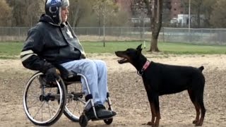 Missing You, Juno.. With Love Zeus! The Red Doberman