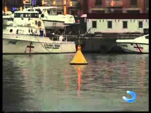 რატომ გაიზარდა გემთმფლობელების მიერ მოტყუებული მეზღვაურების რიცხვი?