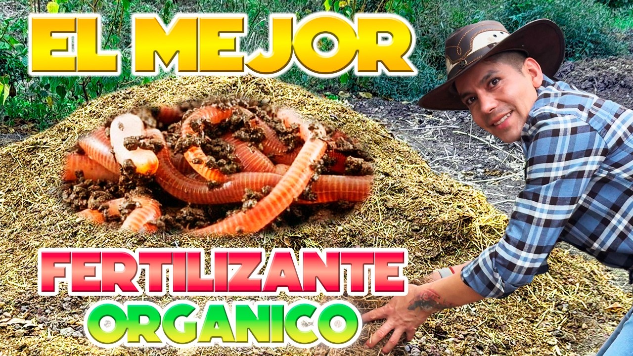 CRIAR LOMBRICES 🪱 DE MANERA RÚSTICA para abonos orgánicos