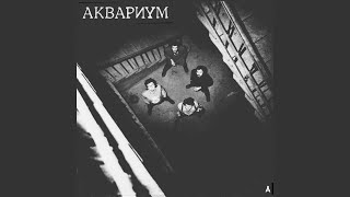 Река - Аквариум