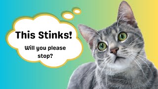 Cats Can't Stand These Smells! Discover Why.